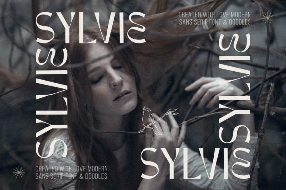 Sylvie: A French-Inspired Display Font That Moves With Purpose