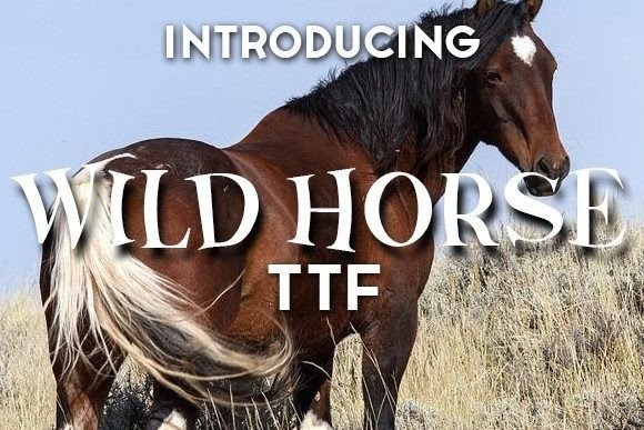 Wild Horse Font: A Maker’s Review for Handmade Labels & Crafts